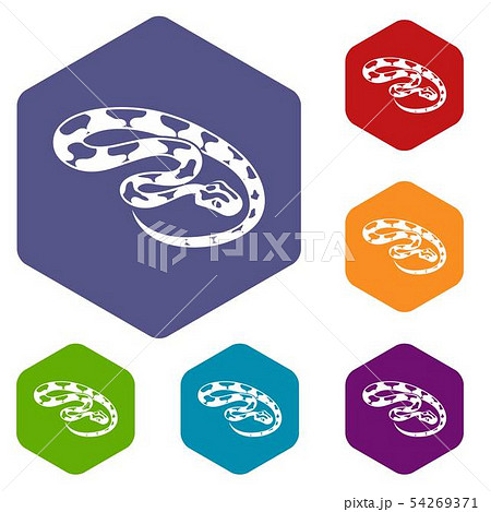 King snake icons vector hexahedron King snake icons vector hexahedron 54269371