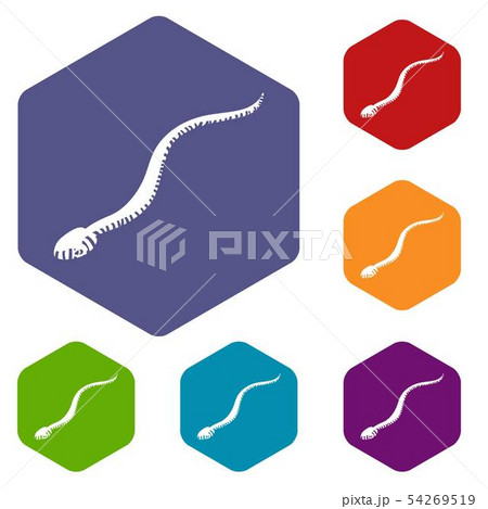 Mamba snake icons vector hexahedron Mamba snake icons vector hexahedron 54269519