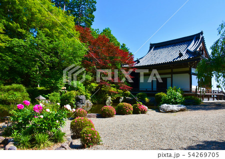 善峯寺 薬師堂 蓮華寿院旧跡庭 善峯寺 薬師堂 蓮華寿院旧跡庭 54269705