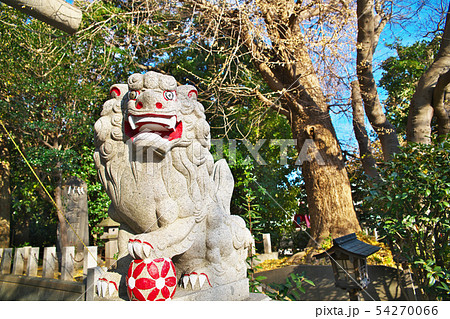 平塚　前鳥神社　狛犬 54270066