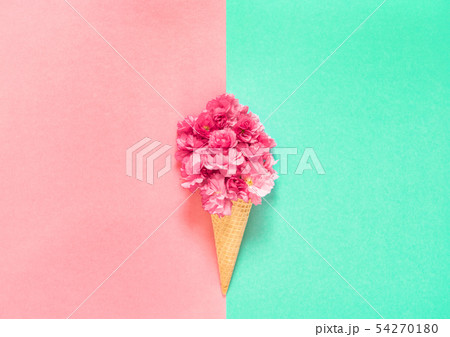 Cherry tree blossom Floral flat lay Pink flowers 54270180