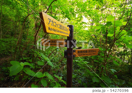 森の中の道しるべ 54270396
