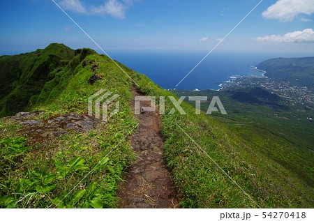八丈富士の尾根道 54270418