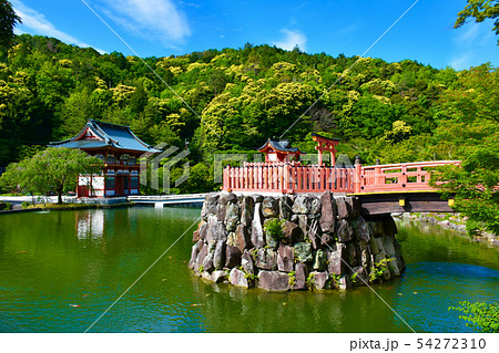 勝尾寺 弁財天　弁天池 54272310