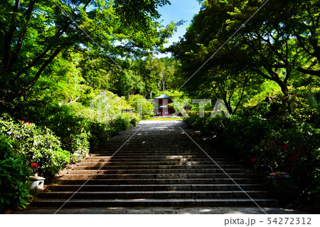 勝尾寺 多宝塔 参道 54272312
