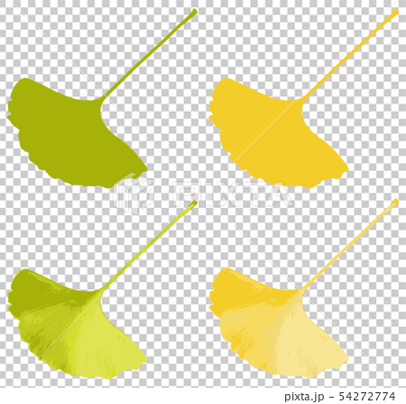 イチョウの葉 セットのイラスト素材