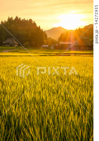 夏の農村風景 (荻ノ島環状集落の夕暮れ) 夏の農村風景 (荻ノ島環状集落の夕暮れ) 54272935