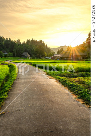 夏の農村風景 (荻ノ島環状集落の夕暮れ) 夏の農村風景 (荻ノ島環状集落の夕暮れ) 54272936