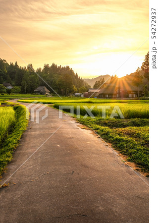 夏の農村風景 (荻ノ島環状集落の夕暮れ) 夏の農村風景 (荻ノ島環状集落の夕暮れ) 54272937