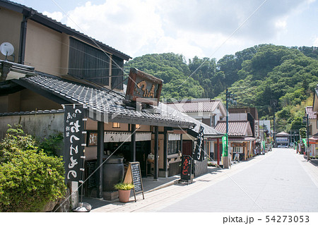 高尾山　高尾山薬王院　表参道　商店街 54273053