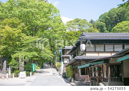 高尾山 高尾山薬王院 表参道 登山道一号路 登山口付近の風景 高尾山 高尾山薬王院 表参道 登山道一号路 登山口付近の風景 54273055