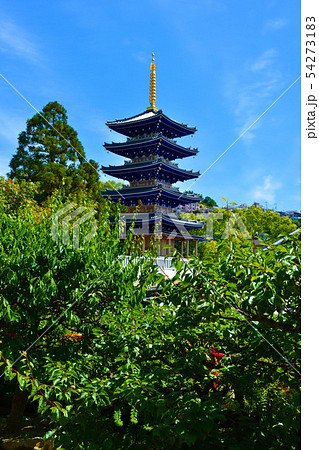 中山寺 五重塔 54273183