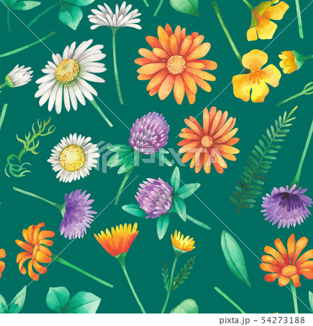 Watercolor seamless pattern of wild meadow flowers 54273188
