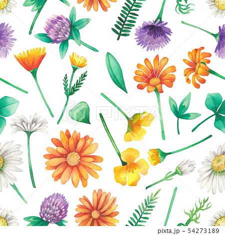 Watercolor seamless pattern of wild meadow flowers 54273189
