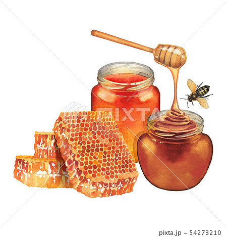 Watercolor honey bottles , decorated with honeycombs, dipper and bees 54273210