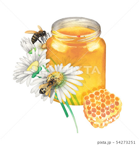 Watercolor honey bottle decorated with chamomile flowers 54273251