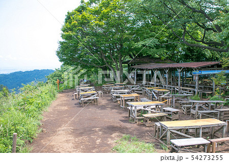 高尾山　登山道　景信山（かげのぶやま）　初夏の山頂 54273255