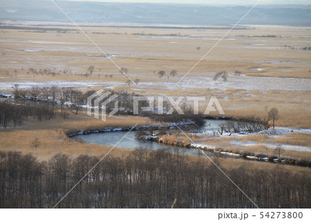 釧路湿原「冬」 54273800
