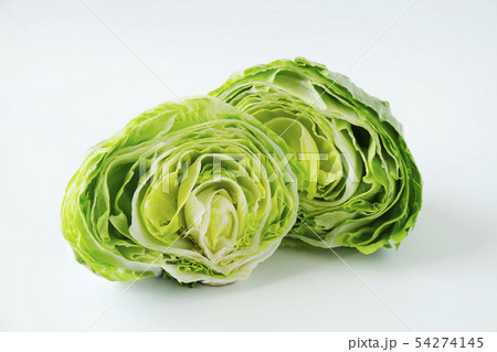 レタス 54274145