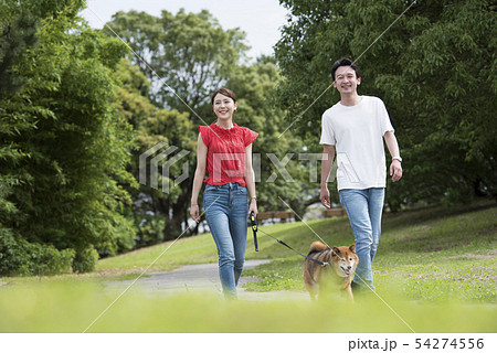 散歩する夫婦と柴犬 54274556