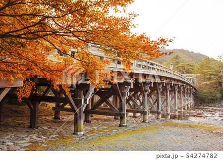 秋の伊勢神宮　宇治橋とモミジの風景　内宮の紅葉風景　伊勢志摩観光名所 54274782