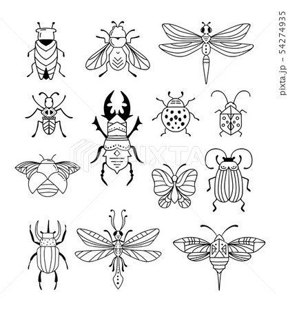 Bugs, insects, Butterfly, ladybug, beetle, swallowtail, dragonfly collection. Modern set of icons Bugs, insects, Butterfly, ladybug, beetle, swallowtail, dragonfly collection. Modern set of icons 54274935