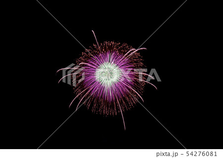 花火 尺玉打ち上げ花火の素材 新潟県片貝町 花火 尺玉打ち上げ花火の素材 新潟県片貝町 54276081