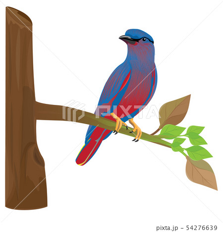 one bird on branch vector design 54276639