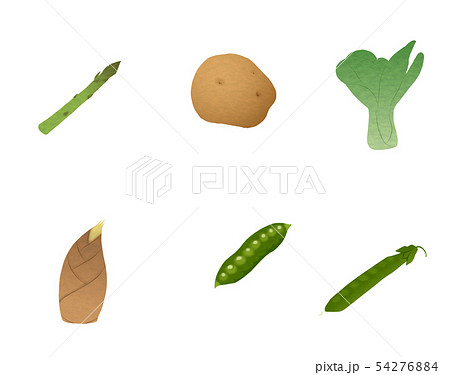 野菜　セット 54276884