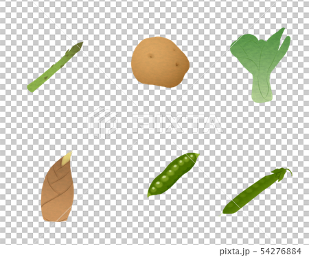 野菜　セット 54276884