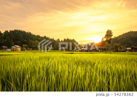 夏の農村風景 (荻ノ島環状集落の夕暮れ) 夏の農村風景 (荻ノ島環状集落の夕暮れ) 54278362