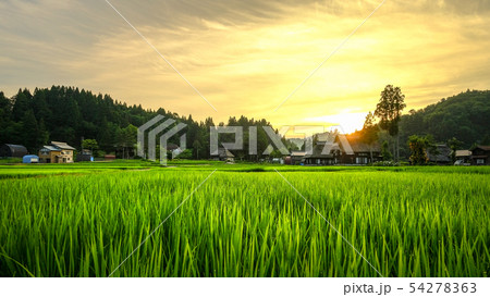 夏の農村風景 (荻ノ島環状集落の夕暮れ) 夏の農村風景 (荻ノ島環状集落の夕暮れ) 54278363