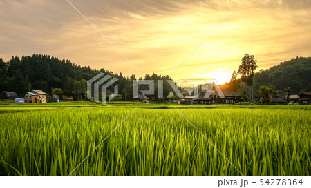 夏の農村風景 (荻ノ島環状集落の夕暮れ) 夏の農村風景 (荻ノ島環状集落の夕暮れ) 54278364