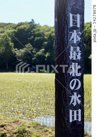 日本最北の水田 54278676