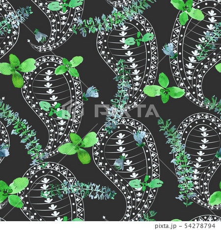 Basil and paisley pattern 54278794