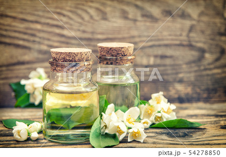 Massage oil fresh jasmine flowers vintage toned 54278850