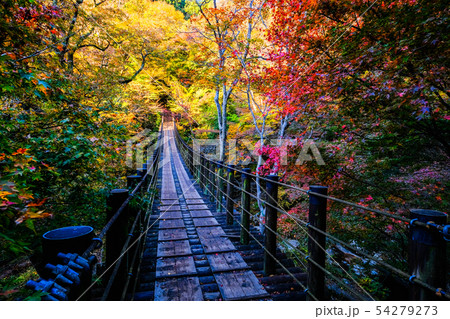 花貫渓谷：汐見滝吊橋 （秋） 54279273