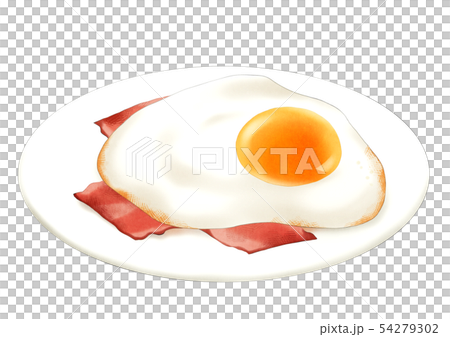 ベーコンエッグのイラスト素材