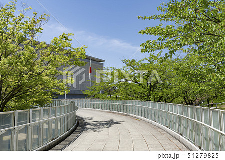 新潟市白山公園と新潟県民会館へ続く空中回廊 新潟市白山公園と新潟県民会館へ続く空中回廊 54279825