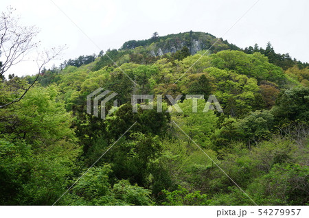 【四国別格二十霊場】第三番 慈眼寺の山 徳島県勝浦郡勝浦町 【四国別格二十霊場】第三番 慈眼寺の山 徳島県勝浦郡勝浦町 54279957