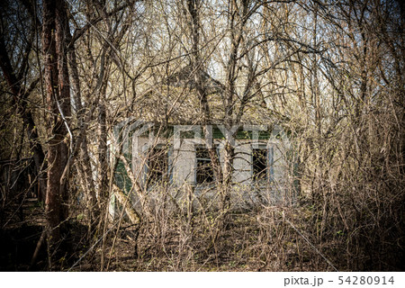 abandoned house in destroyed village of Kopachi Chernobyl zone, Ukraine abandoned house in destroyed village of Kopachi Chernobyl zone, Ukraine 54280914