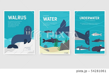 Set of Sea mammals pattern concept. Art animal, magazine, book, poster, abstract, banners, element Set of Sea mammals pattern concept. Art animal, magazine, book, poster, abstract, banners, element 54281061