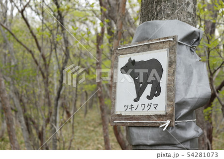 ツキノワグマ注意の案内板 ツキノワグマ注意の案内板 54281073