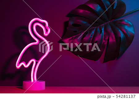 Summer pink flamingo and monstera leaf with neon Summer pink flamingo and monstera leaf with neon 54281137