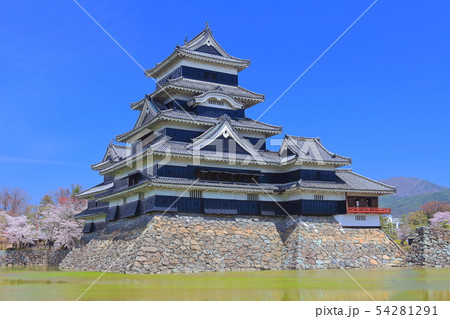 【長野県】桜満開の松本城（大天守と乾小天守と月見櫓） 54281291