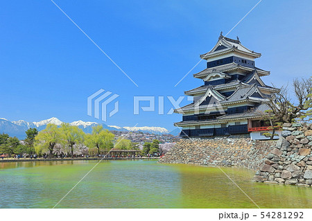 【長野県】北アルプスと桜満開の松本城 54281292