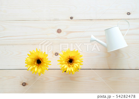 Watering Can a Gerbera pours 54282478