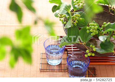 初夏のテーブルアレンジ 54282725