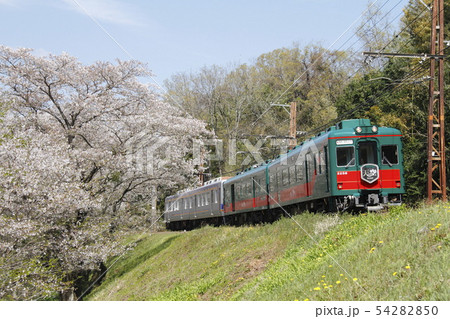 南海 こうや花鉄道 天空 南海 こうや花鉄道 天空 54282850
