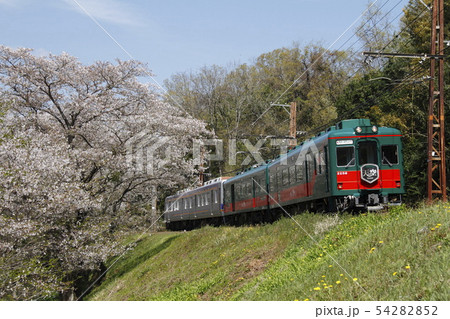 南海 こうや花鉄道 天空 54282852